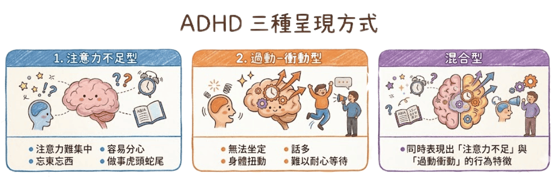ADHD分成哪些不同狀態呢?ADHD的三種呈現方式,分別是注意力不足型過動衝動型及混合型